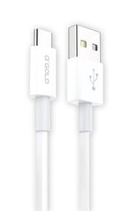 Kit Carregador De Celular com Fonte fio tipo C Turbo Duplo Usb Cabo Recarga Rápida Turbo - Miston