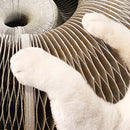 Brinquedo Interativo Para Gatos I Cat Joy + 1 Bola de Brinde - Miston