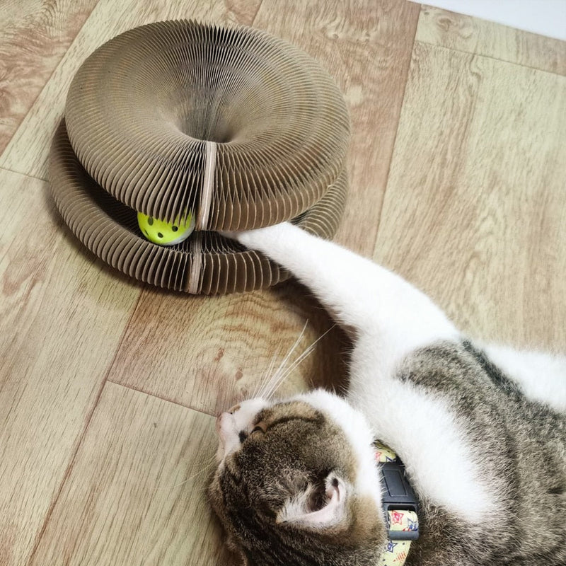 Brinquedo Interativo Para Gatos I Cat Joy + 1 Bola de Brinde - Miston