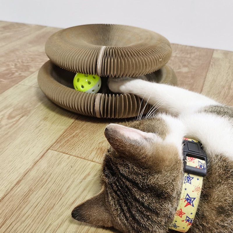 Brinquedo Interativo Para Gatos I Cat Joy + 1 Bola de Brinde - Miston